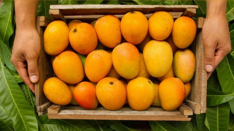 Alphonso mango arrives in Mumbai market