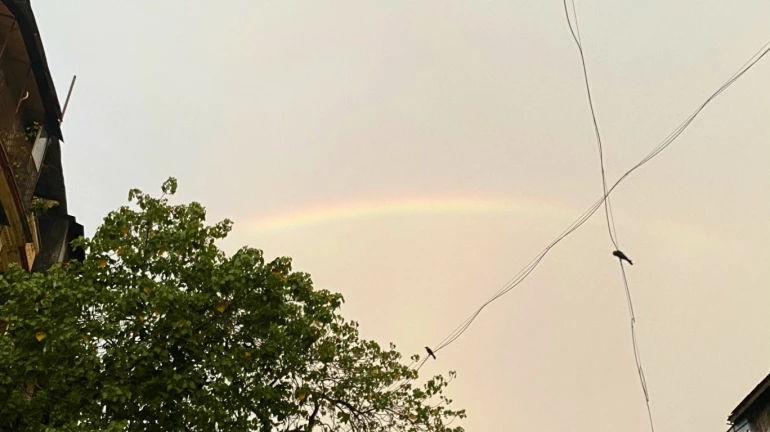 Mumbai Rains: As the city receives its first drizzle, here's how netizens reacted Mumbai Rains: As the city receives its first drizzle, here's how netizens reacted