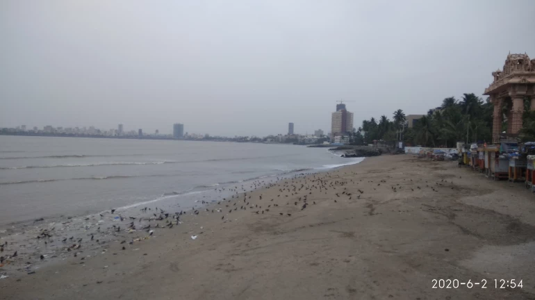 BMC gears up to minimise impact of cyclone Tauktae; CM Thackeray asks authorities in coastal to remain alert BMC gears up to minimise impact of cyclone Tauktae; CM Thackeray asks authorities in coastal to remain alert