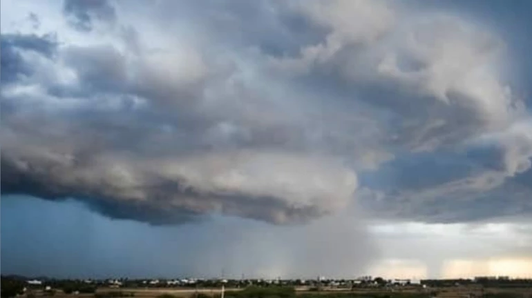 Nisarga cyclone से निपटने के लिए उड़ीसा ने महाराष्ट्र को दिए टिप्स Nisarga cyclone से निपटने के लिए उड़ीसा ने महाराष्ट्र को दिए टिप्स