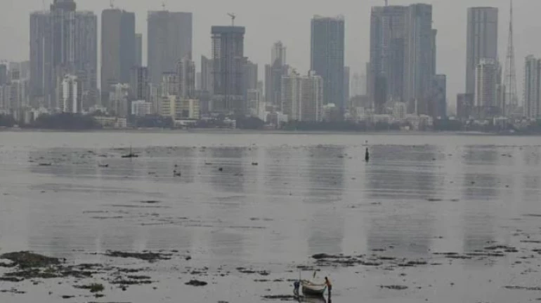 Cyclone nisarga: पुढचे २ दिवस धोक्याचे, घराबाहेर पडू नका- उद्धव ठाकरे Cyclone nisarga: पुढचे २ दिवस धोक्याचे, घराबाहेर पडू नका- उद्धव ठाकरे