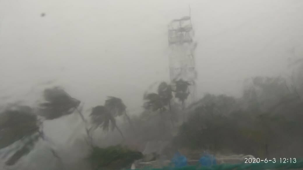 Mumbai Rains: BMC Urges Residents to Stay Away From Trees After 113 Collapse Incidents