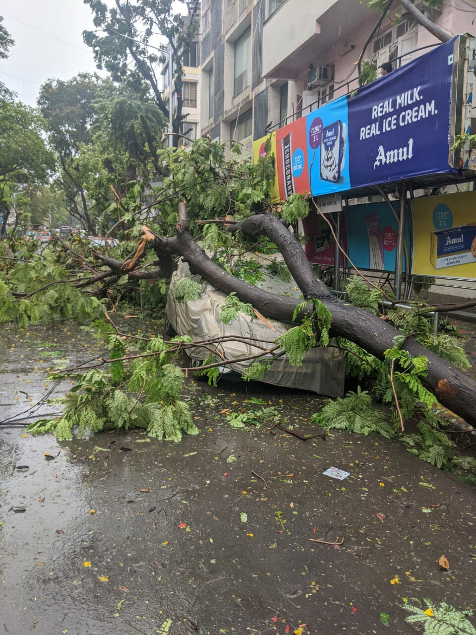 Nisarga Cyclone: Trees uprooted, roofs fly as the cyclonic storm hits Maharashtra