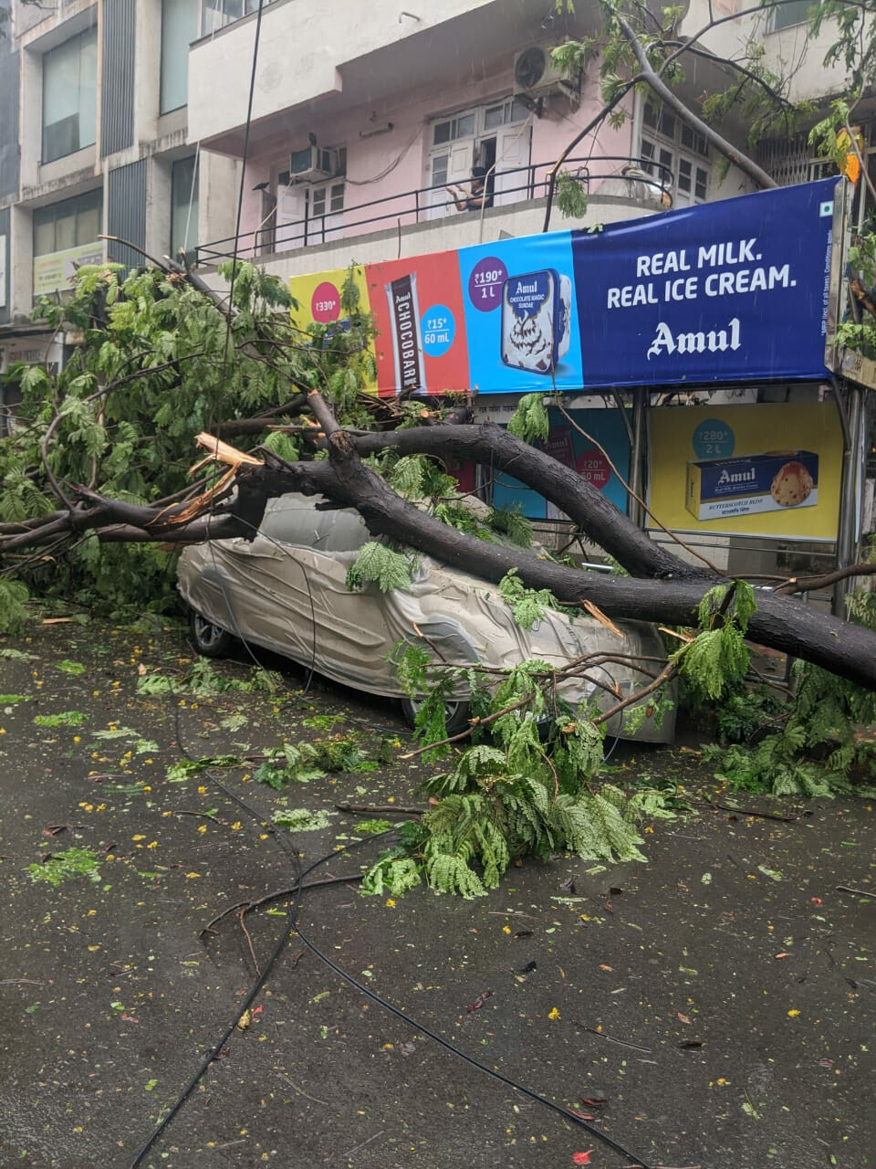 Nisarga cyclone : निसर्ग का असर, मुंबई में कहीं गिरे पेड़ तो कहीं उड़े छप्पर
