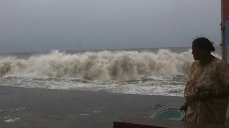 निसर्ग चक्रीवादळामुळं स्थलांतरीत केलेल्या रहिवाशांना स्क्रीनिंगनंतरच घरी पाठवणार निसर्ग चक्रीवादळामुळं स्थलांतरीत केलेल्या रहिवाशांना स्क्रीनिंगनंतरच घरी पाठवणार