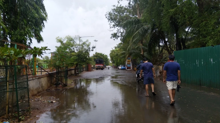 मीरा-भायंदर में गुरुवार को COVID-19 के 37 नए केस, 3 की मौत मीरा-भायंदर में गुरुवार को COVID-19 के 37 नए केस, 3 की मौत