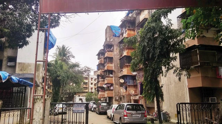 'मिशन बिगीन अगेन'द्वारे नातेवाइकांसाठी सोसायट्यांचे दार उघडे 'मिशन बिगीन अगेन'द्वारे नातेवाइकांसाठी सोसायट्यांचे दार उघडे