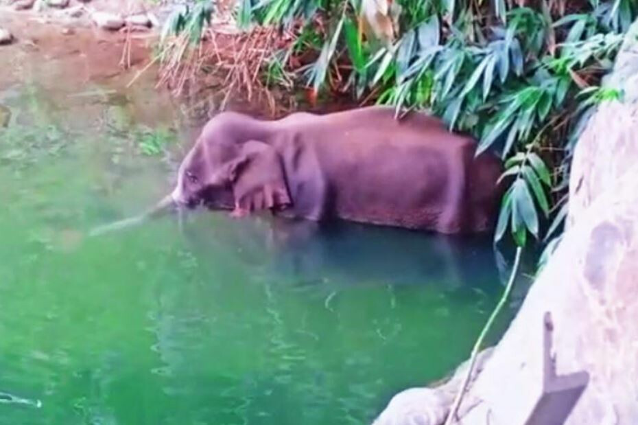 गर्भ ... व ... ती ...!