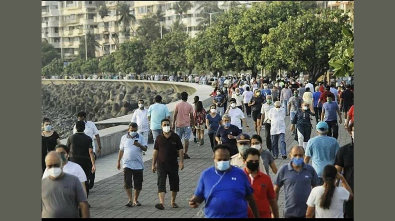 लोकांना सरकारने वाऱ्यावर सोडून दिलंय, राजू पाटील यांची टीका लोकांना सरकारने वाऱ्यावर सोडून दिलंय, राजू पाटील यांची टीका