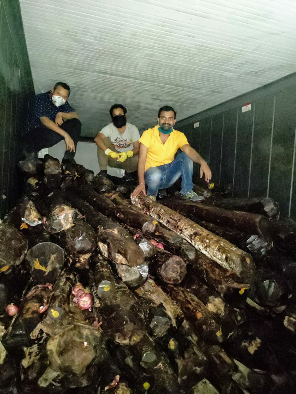 कांद्याच्या नावाखाली रक्त चंदनाची तस्करी