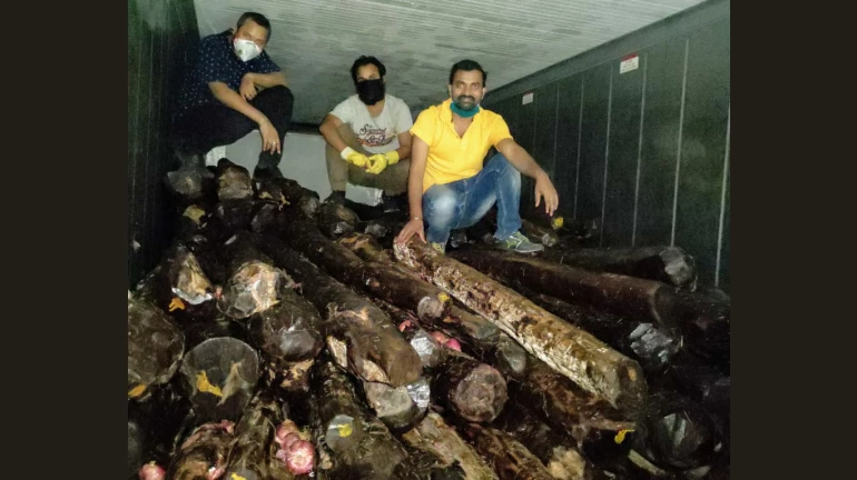 कांद्याच्या नावाखाली रक्त चंदनाची तस्करी कांद्याच्या नावाखाली रक्त चंदनाची तस्करी