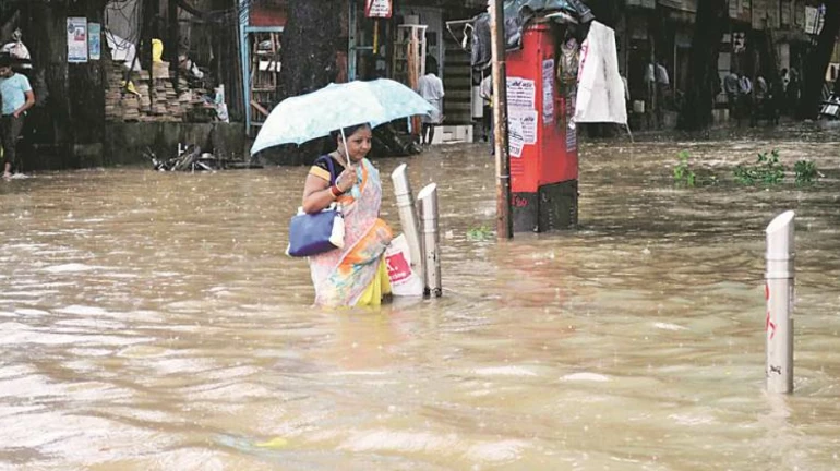 पावसात अडकल्यास मुंबई पालिकेचं 'हे' अॅप ठरणार संकटमोचक पावसात अडकल्यास मुंबई पालिकेचं 'हे' अॅप ठरणार संकटमोचक