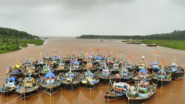 वसईत मत्स्य प्रशिक्षण केंद्र उभारण्याचे निर्देश वसईत मत्स्य प्रशिक्षण केंद्र उभारण्याचे निर्देश