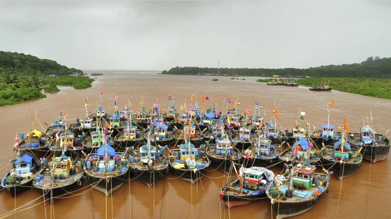मासेमारी बंदी 15 ऑगस्टपर्यंत वाढवण्याची मागणी मासेमारी बंदी 15 ऑगस्टपर्यंत वाढवण्याची मागणी