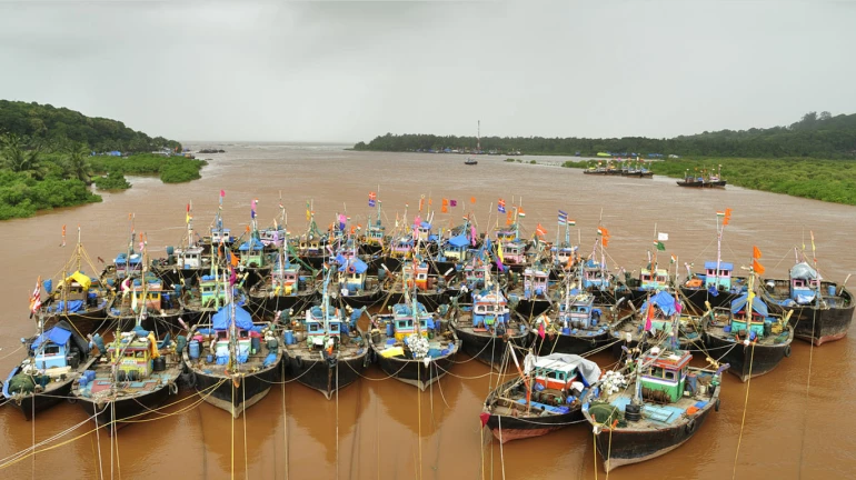 Fisheries department to offer a compensation to the fishermen community Fisheries department to offer a compensation to the fishermen community