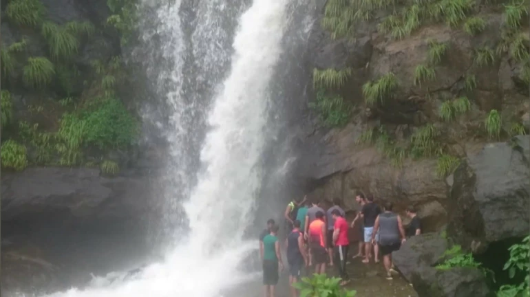पावसाळी पर्यटनास ठाणे जिल्ह्यात बंदी, 'ही' आहेत बंदीची ठिकाणं पावसाळी पर्यटनास ठाणे जिल्ह्यात बंदी, 'ही' आहेत बंदीची ठिकाणं