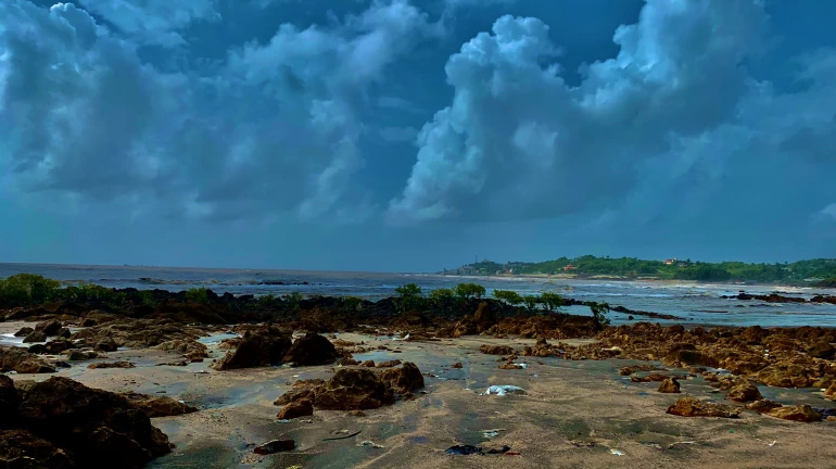 Controversial Coastal Project Approved in Gorai Beach
