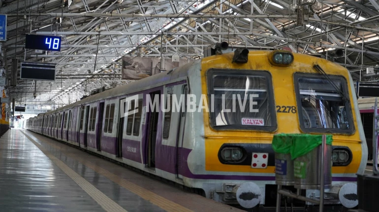 Here are all the people permitted on the local train in Mumbai