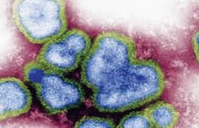 कोरोनानंतर 'या' आजाराचा मुंबईत शिरकाव, ३१ जणांचा मत्यू