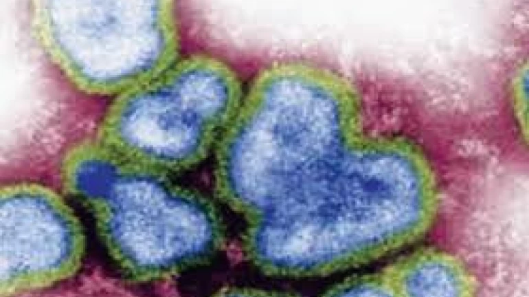 कोरोनानंतर 'या' आजाराचा मुंबईत शिरकाव, ३१ जणांचा मत्यू कोरोनानंतर 'या' आजाराचा मुंबईत शिरकाव, ३१ जणांचा मत्यू