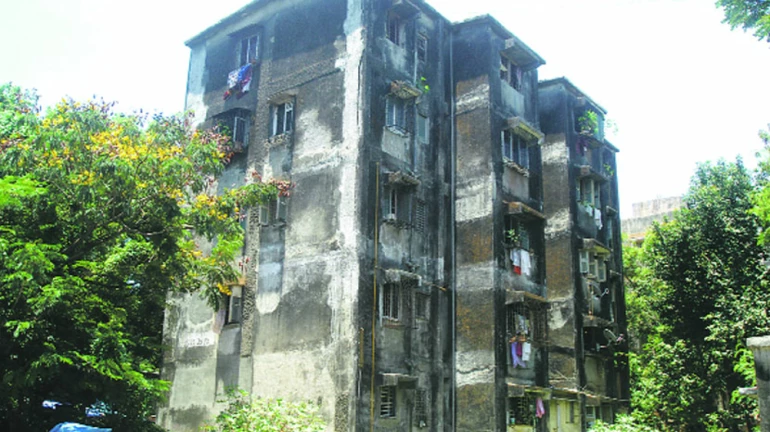 ठाण्यात धोकादायक, अतिधोकादायक इमारतींची 'इतकी' संख्या ठाण्यात धोकादायक, अतिधोकादायक इमारतींची 'इतकी' संख्या