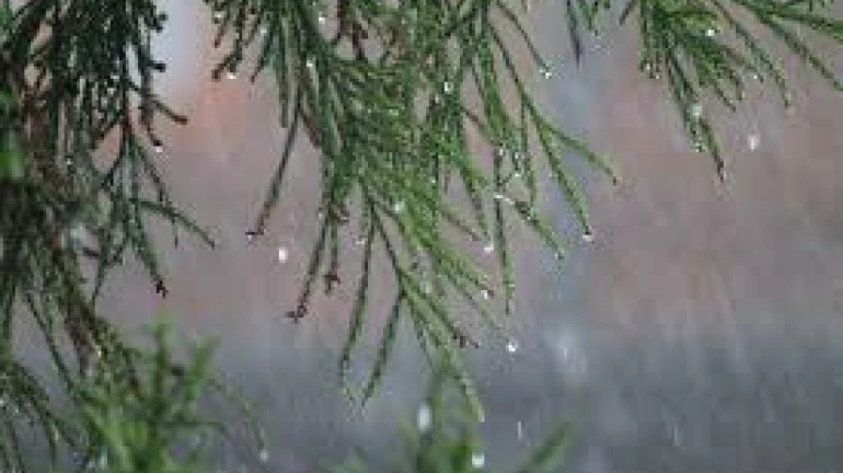 Mumbai Rains: दक्षिण मुंबई के कई इलाकों में 100 मिमी से ज्यादा बारिश Mumbai Rains: दक्षिण मुंबई के कई इलाकों में 100 मिमी से ज्यादा बारिश