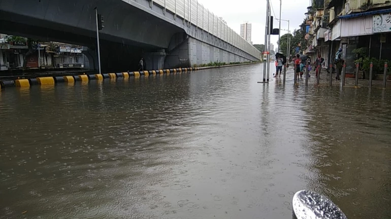 Mumbai Rains: मागील ३ तासांत मुंबईत पडला १५६ मिमी पाऊस Mumbai Rains: मागील ३ तासांत मुंबईत पडला १५६ मिमी पाऊस
