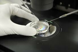 आईवीएफ प्रक्रिया अनिवार्य