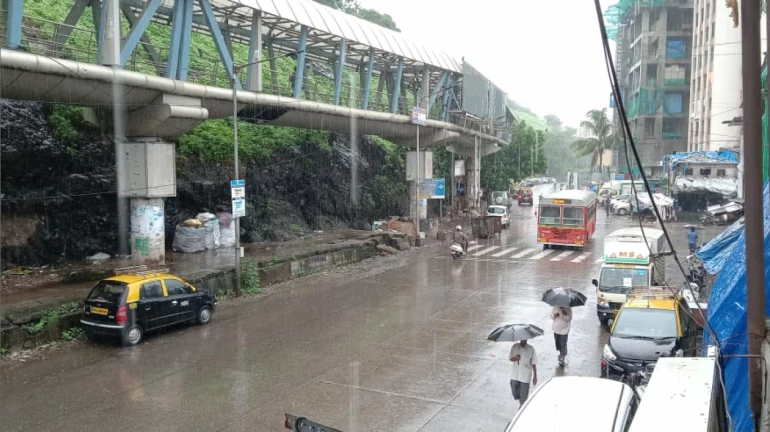 Red Alert: विभिन्न भागों में शनिवार की सुबह से जारी है तेज बारिश Red Alert: विभिन्न भागों में शनिवार की सुबह से जारी है तेज बारिश