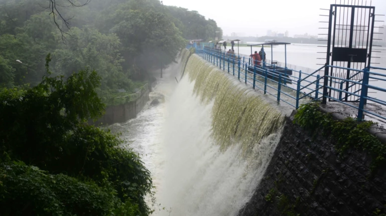 पवई तलाव ओव्हरफ्लो, मात्र मिठी नदी... पवई तलाव ओव्हरफ्लो, मात्र मिठी नदी...