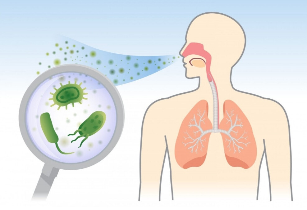 मुंबई कोरोनाचे ९९५ नवे रुग्ण, दिवसभरात ६५ जणांचा मृत्यू