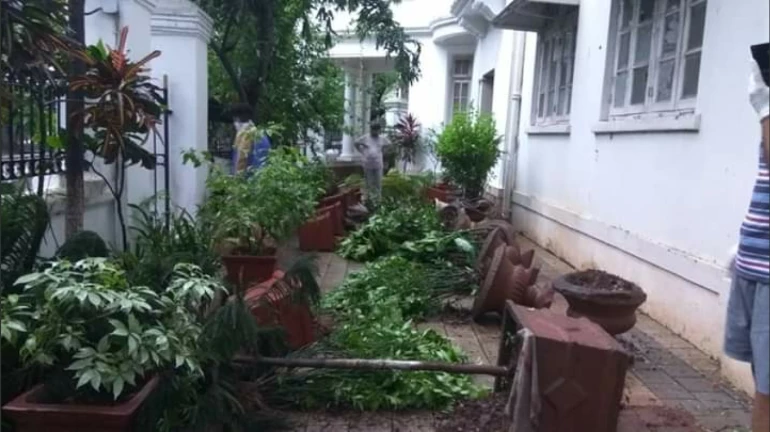 Mumbai: FIR filed after vandalism at residence of Babasaheb Ambedkar