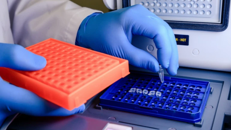 Covid-19 Test: आता महापालिका करणार प्रत्येक वाॅर्डात रोज २५० अँटीजेन चाचण्या Covid-19 Test: आता महापालिका करणार प्रत्येक वाॅर्डात रोज २५० अँटीजेन चाचण्या