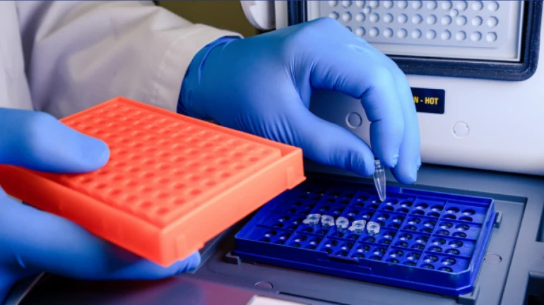 Navi Mumbai doubling rate stands at 39 days Navi Mumbai doubling rate stands at 39 days