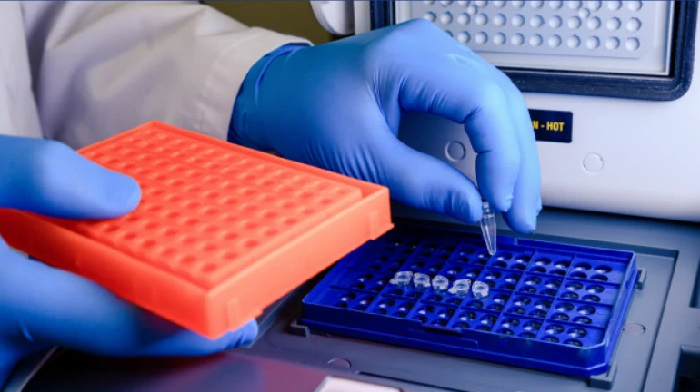 दिलासादायक बातमी!  दिवसभरात १० हजार ९०६ जणांनी केली कोरोनावर मात दिलासादायक बातमी!  दिवसभरात १० हजार ९०६ जणांनी केली कोरोनावर मात