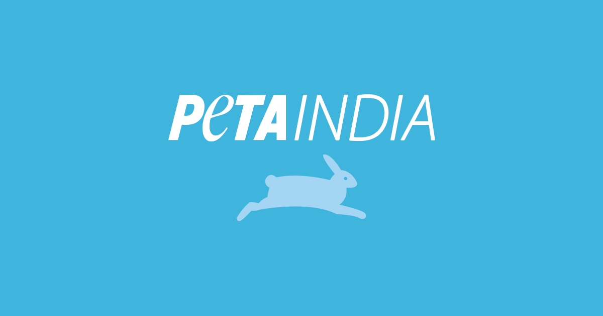 PETA India writes to CPCSEA demanding NIV to stop experimenting on monkeys