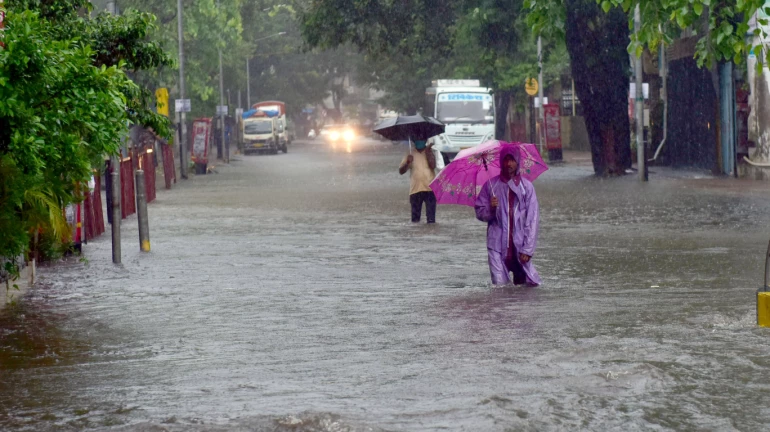 दो दिन प्लीज सतर्क रहे, हवामान खात्याचा पुन्हा इशारा दो दिन प्लीज सतर्क रहे, हवामान खात्याचा पुन्हा इशारा