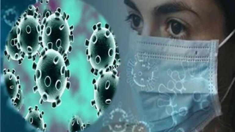 नवी मुंबईत बुधवारी ३५६ नव्या रुग्णांची नोंद नवी मुंबईत बुधवारी ३५६ नव्या रुग्णांची नोंद