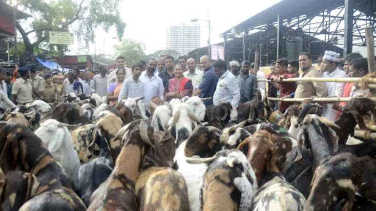 Bakra Eid: बकरी ईदसाठी सरकारने काढल्या मार्गदर्शक सूचना