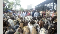 मीरा-भाईंदरमध्ये बकरी ईदसाठी नवे नियम मीरा-भाईंदरमध्ये बकरी ईदसाठी नवे नियम