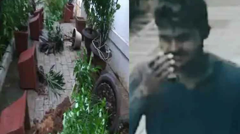 'राजगृह'परिसरात नासधुस करणाऱ्यास कल्याणमधून अटक 'राजगृह'परिसरात नासधुस करणाऱ्यास कल्याणमधून अटक