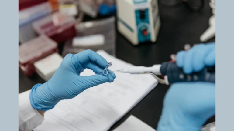 मीरा-भायंदर में गुरुवार को COVID-19 के 242 नए केस, 7 की मौत मीरा-भायंदर में गुरुवार को COVID-19 के 242 नए केस, 7 की मौत