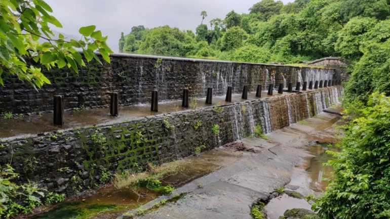 मुंबईकरों के लिए अच्छी खबर है! पानी की आपूर्ति करनेवाला ये बांध ओवरफ्लो मुंबईकरों के लिए अच्छी खबर है! पानी की आपूर्ति करनेवाला ये बांध ओवरफ्लो