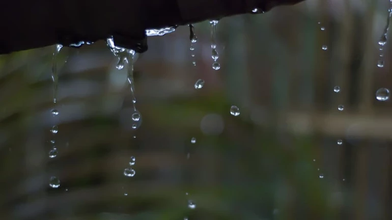 IMD issues orange alert for Mumbai, Thane, Palghar and Raigad IMD issues orange alert for Mumbai, Thane, Palghar and Raigad