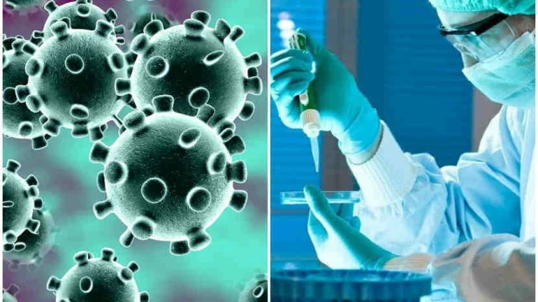 पनवेल महापालिका हद्दीत सोमवारी १६६ नवीन कोरोना रुग्ण पनवेल महापालिका हद्दीत सोमवारी १६६ नवीन कोरोना रुग्ण