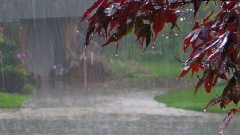 Mumbai Rains: Heavy downpour expected in Virar and Palghar Mumbai Rains: Heavy downpour expected in Virar and Palghar