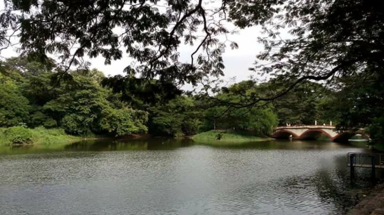 Mumbai: Lake water levels increases to 37.36 per cent Mumbai: Lake water levels increases to 37.36 per cent