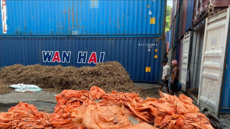 १ कोटी ६० लाखांच्या चरससह तीन जणांना अटक १ कोटी ६० लाखांच्या चरससह तीन जणांना अटक