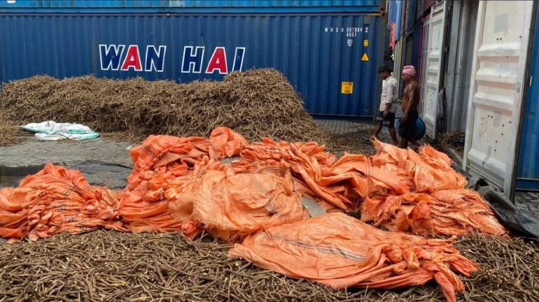 स्वतंत्र्य दिनी ड्रग्जने भरलेला कंटेनर मुंबईत पकडला, तस्करीमागे हैद्राबाद कनेक्शन स्वतंत्र्य दिनी ड्रग्जने भरलेला कंटेनर मुंबईत पकडला, तस्करीमागे हैद्राबाद कनेक्शन