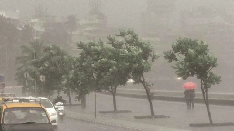 यंदा १६ टक्के जास्त पाऊस, पाण्याची चिंता मिटण्याची शक्यता यंदा १६ टक्के जास्त पाऊस, पाण्याची चिंता मिटण्याची शक्यता